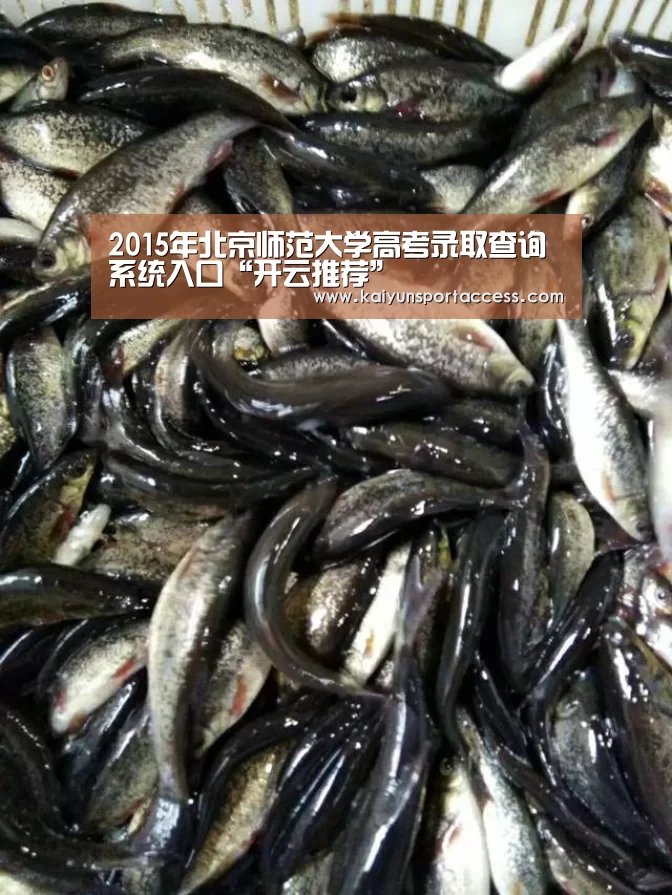开云游戏