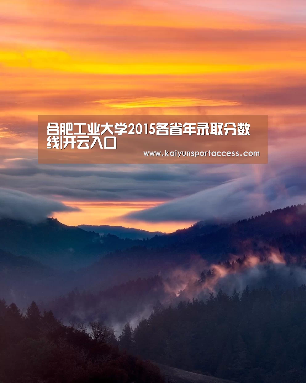 开云推荐