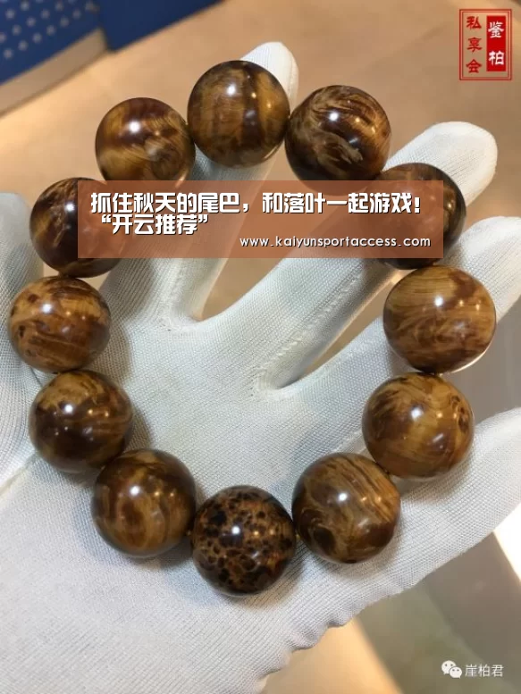 抓住秋天的尾巴,和落叶一起游戏!“开云推荐”(图4) 开云游戏